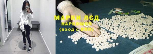 PSILOCYBIN Гусиноозёрск