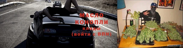 прущие грибы Дмитриев