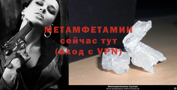 прущие грибы Дмитриев
