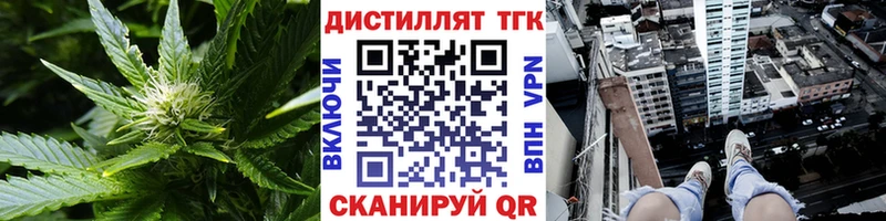 ТГК Wax  Дорогобуж 